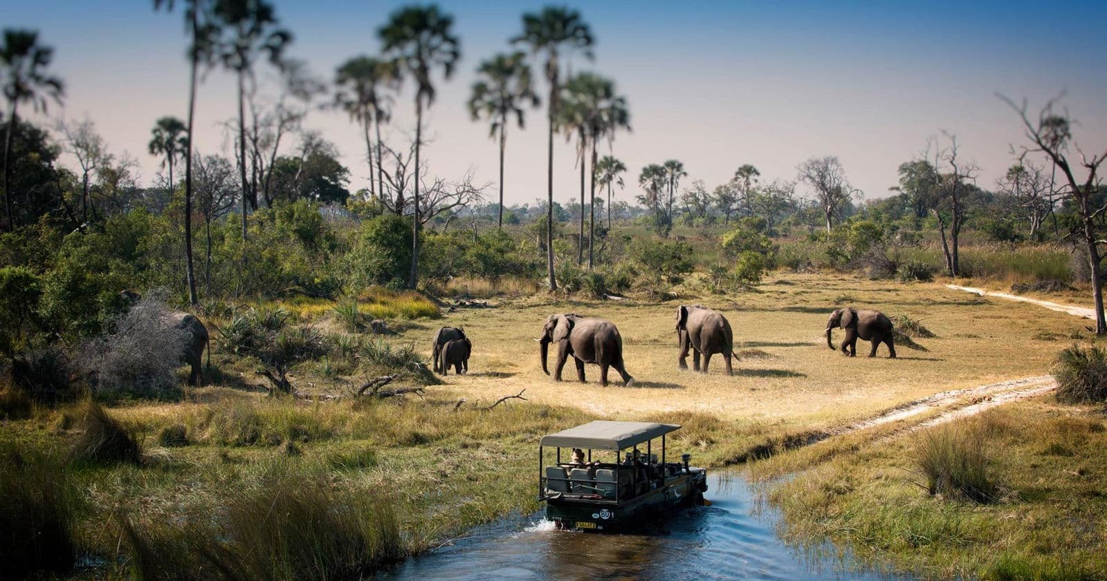 Chobe National Park, Botswana