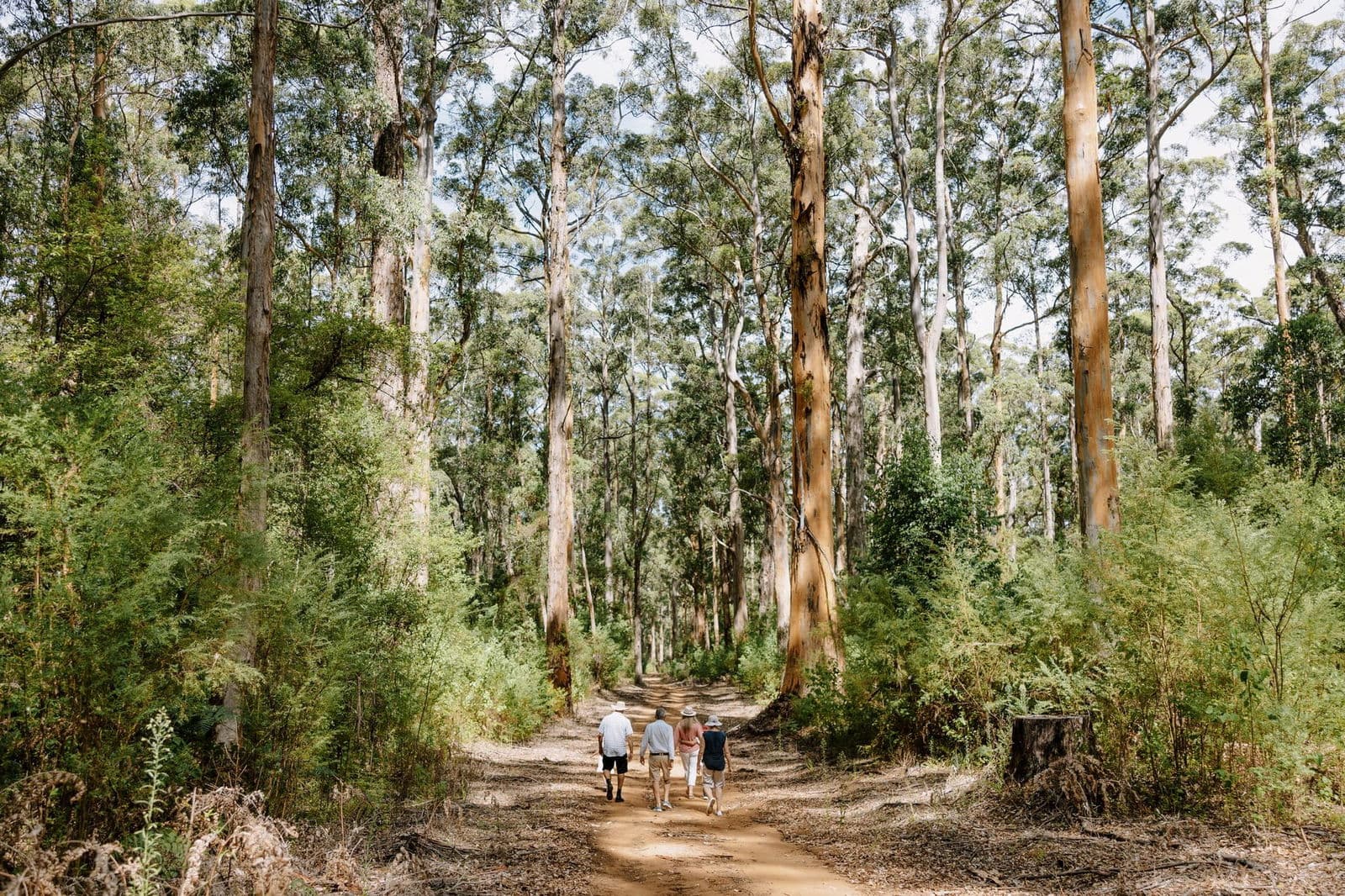 Pemberton, Australia