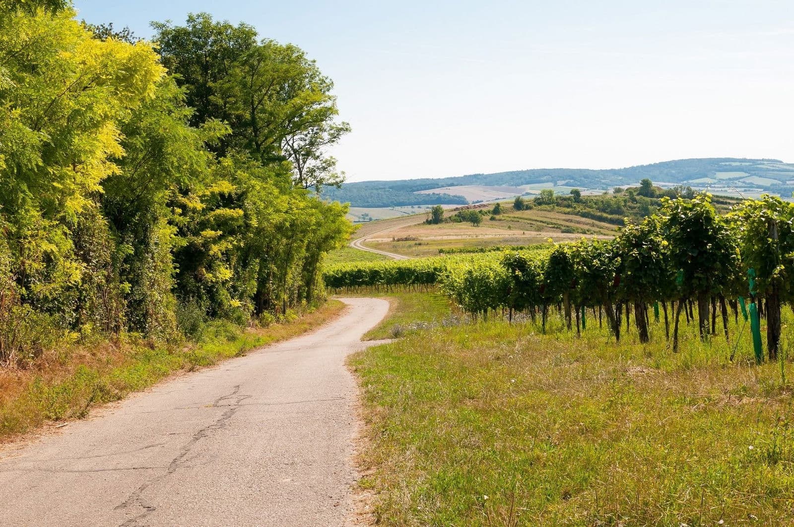 Breitenwaida, Austria