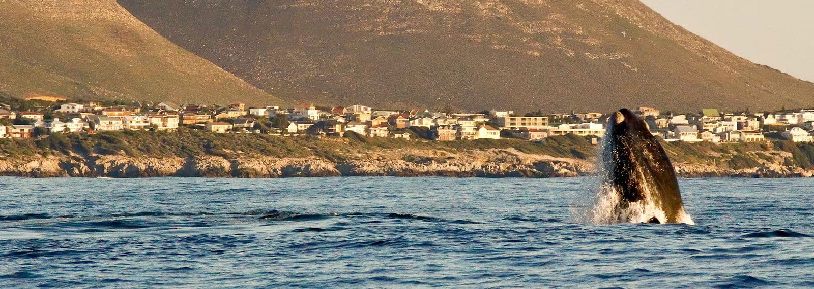 Hermanus, South Africa