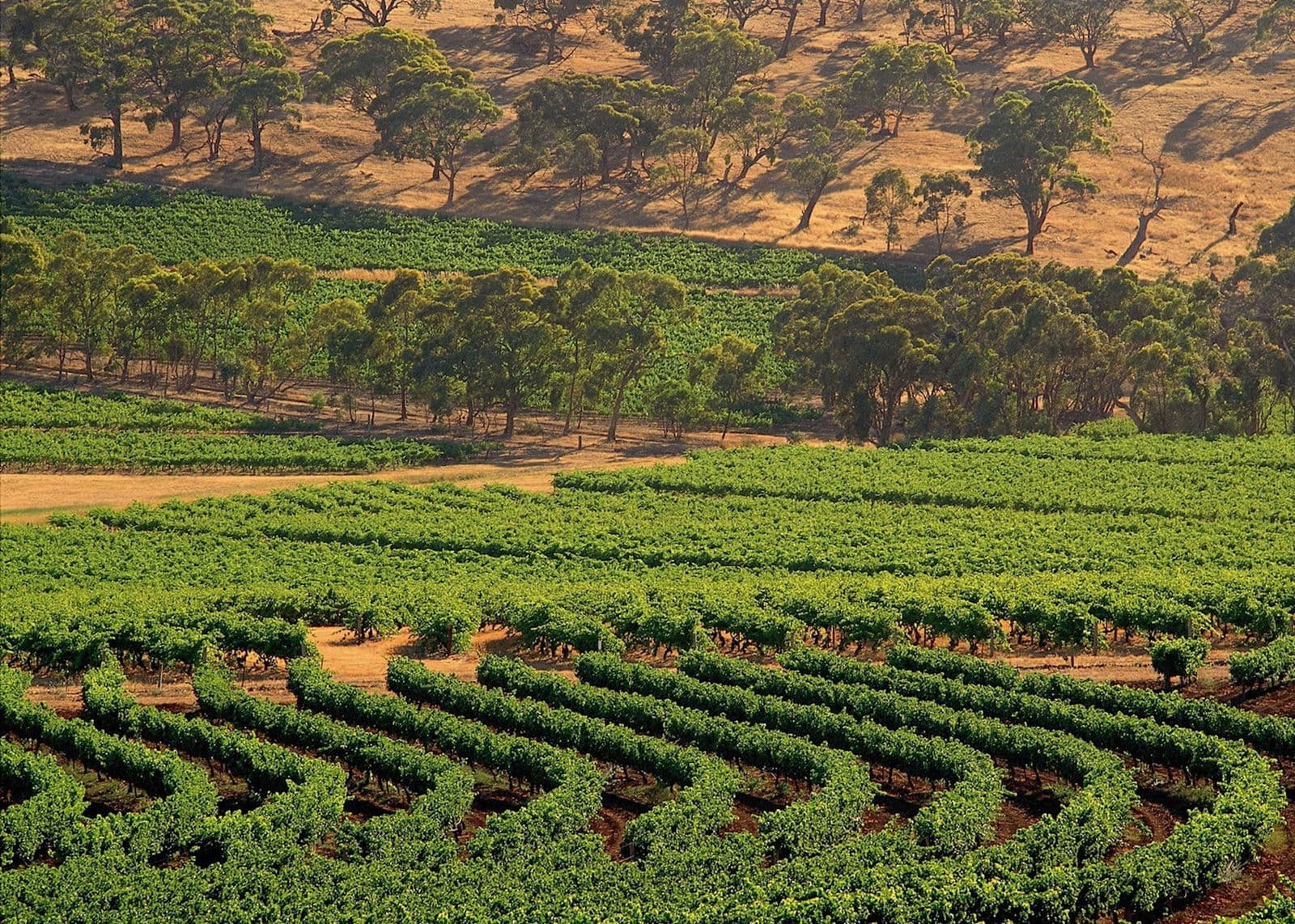 Clare Valley, Australia