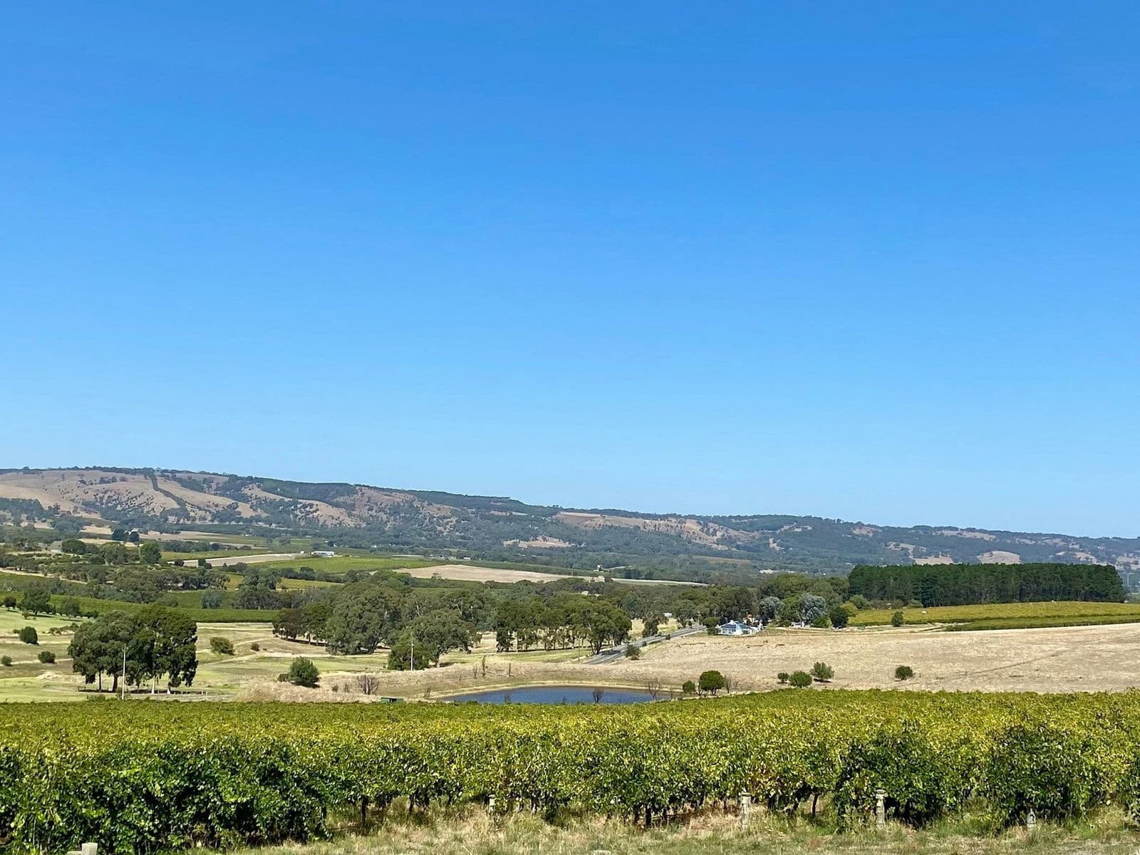 Blewitt Springs, Australia