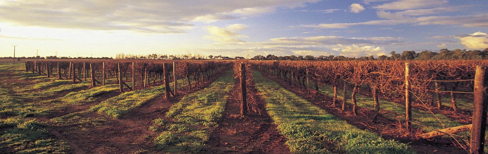 Coonawarra, Australia