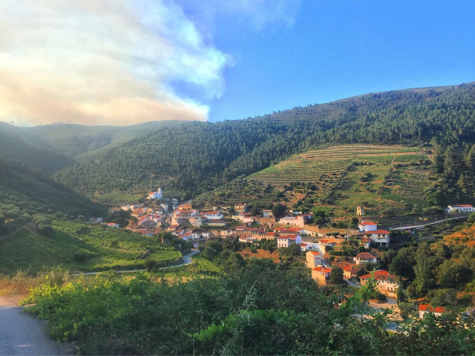 Covas do Douro, Portugal