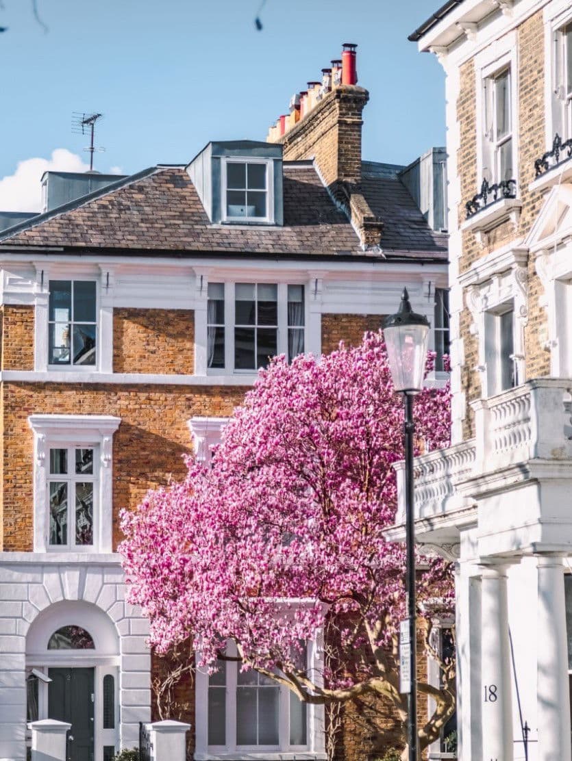 Ramskapelle, Belgium
