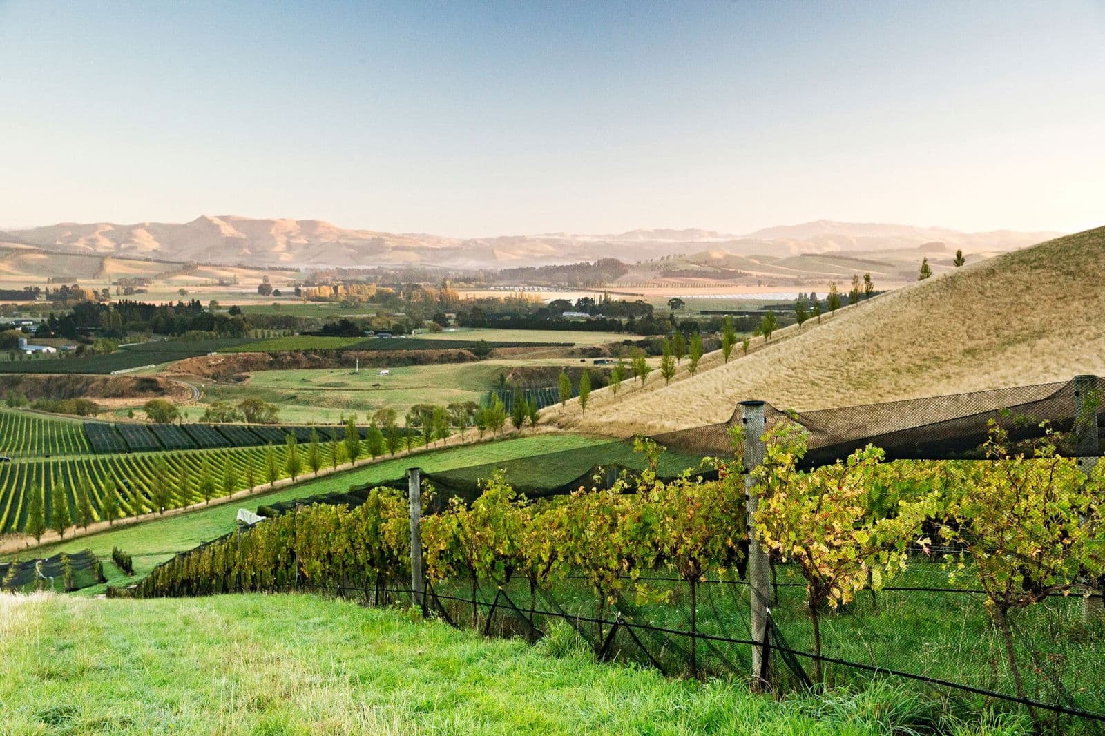 Waipara, New Zealand