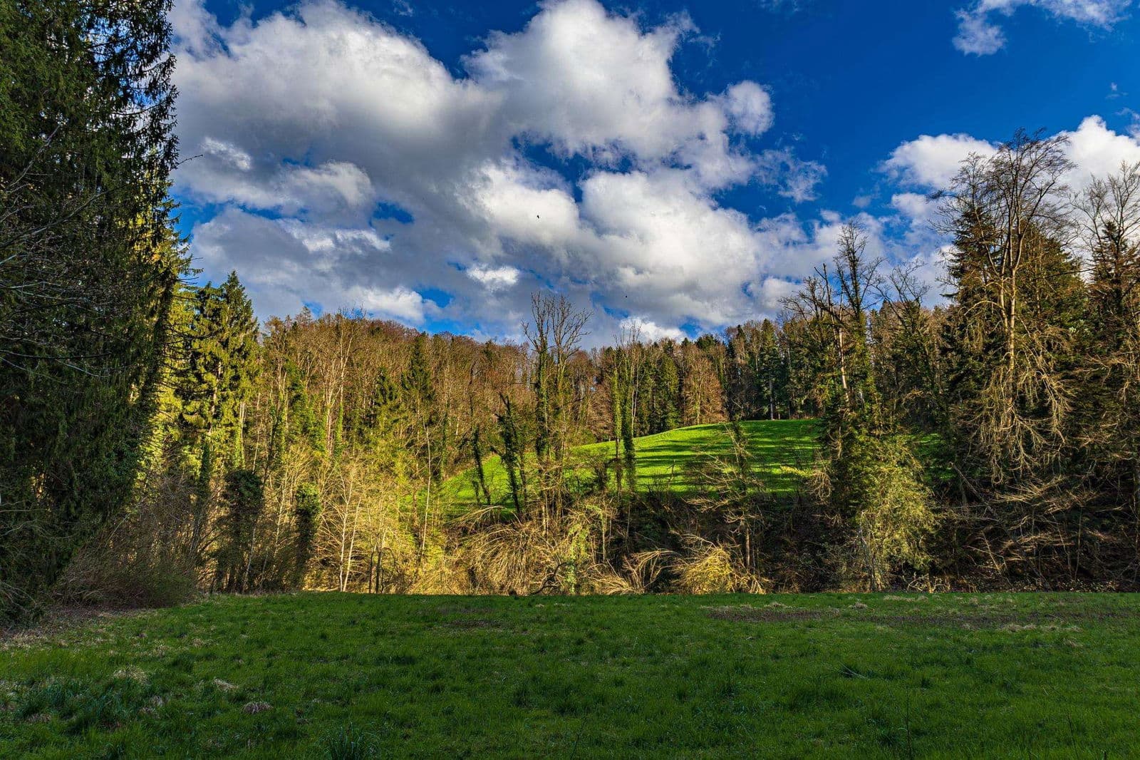 Goldach, Switzerland