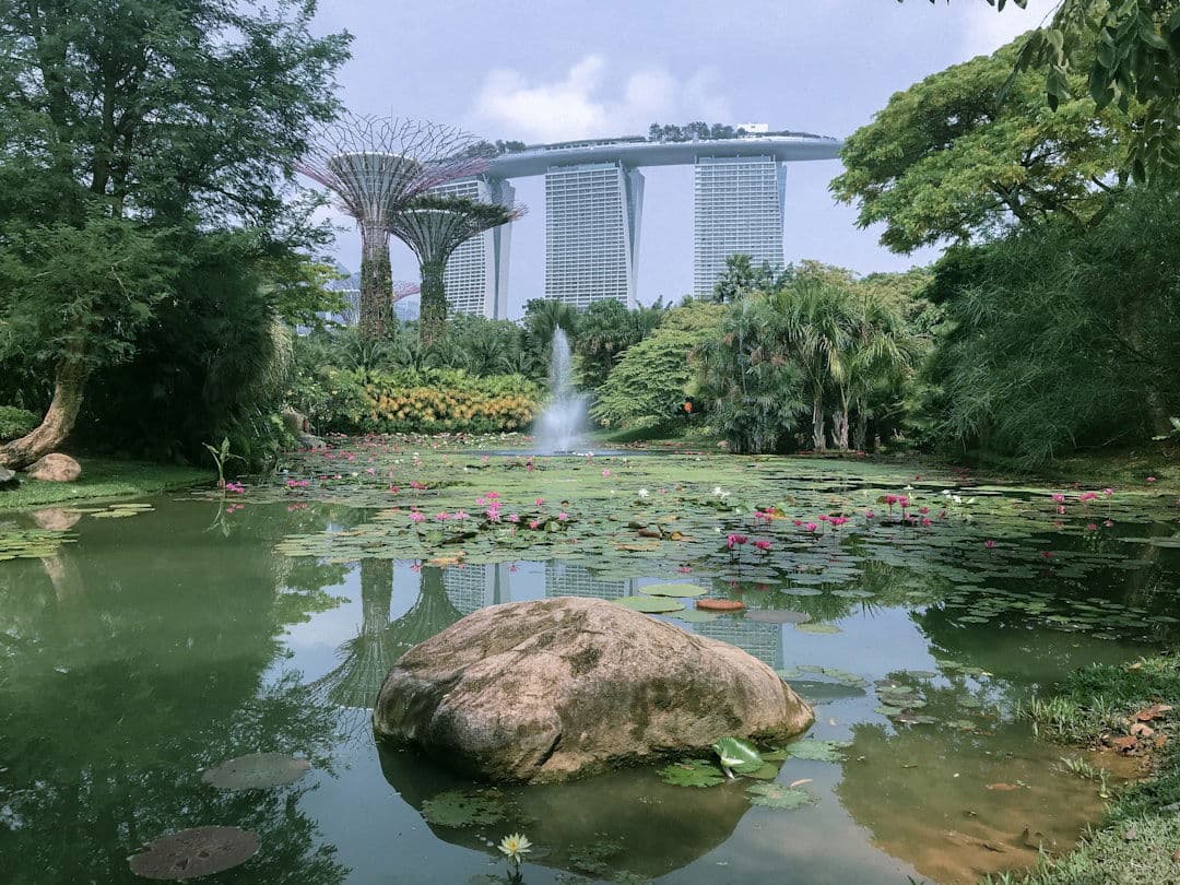 Singapore luxury dining and travel destination