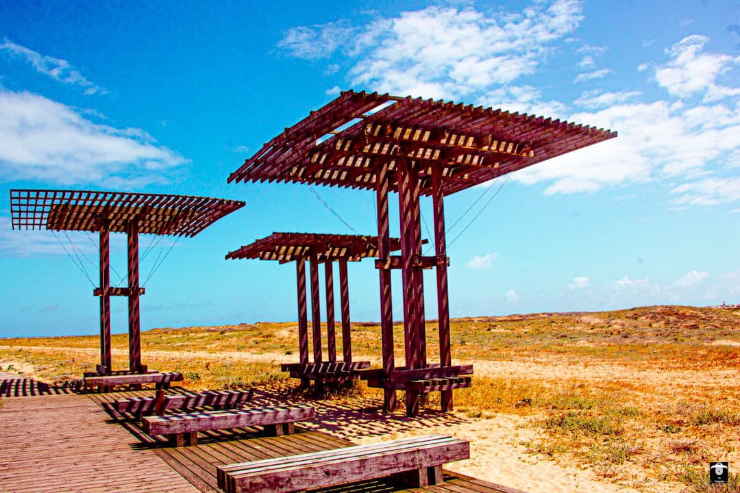 Aruba luxury dining and travel destination