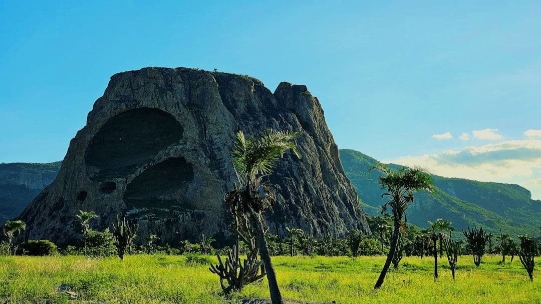 Bulgaria luxury dining and travel destination