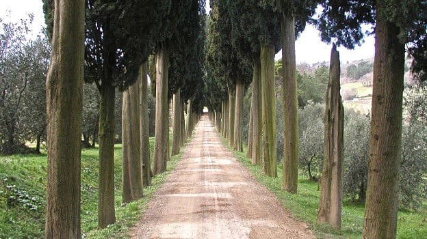 Biondi-Santi Tenuta Greppo winery in Montalcino