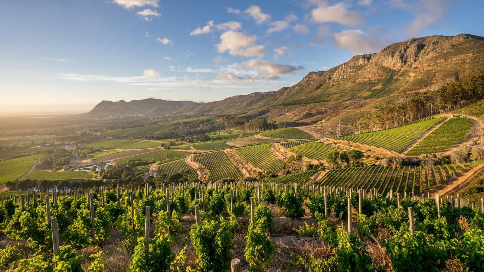 Klein Constantia winery in Cape Town