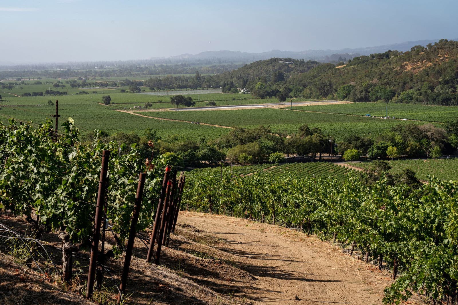 Stags Leap District (Napa), United States